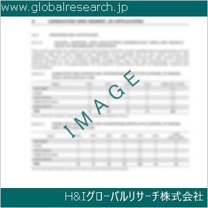 グローバルリサーチ調査資料のイメージ